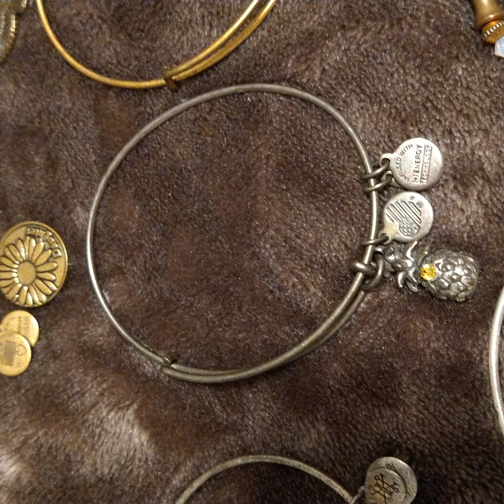 Bundle: 8 Alex & Ani Bangle Bracelet Set - image 6